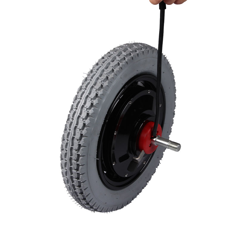 Hub Motor